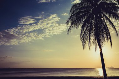 Gün batımından önce sahildeki hindistan cevizi ağacını sustur.