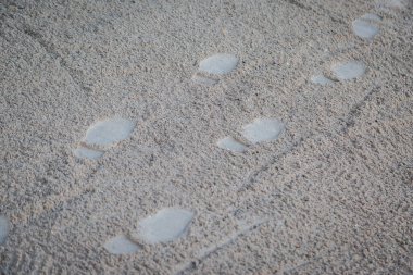 Kumsalda ayak izleri.