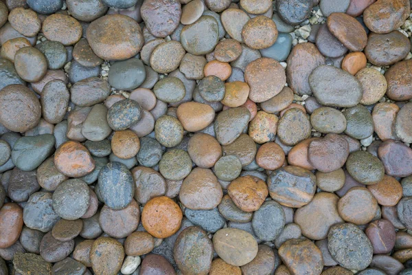 ぬれた岩の川の質感の背景 — ストック写真