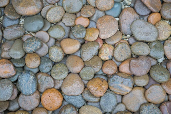 Natte Rock Rivier Textuur Achtergrond — Stockfoto