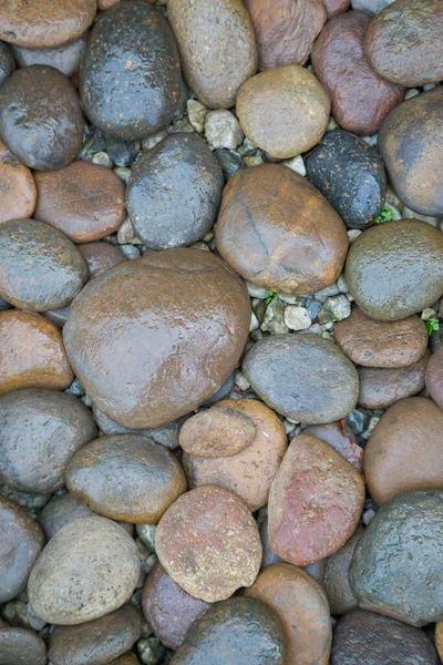 Fondo Textura Río Roca Mojada — Foto de Stock