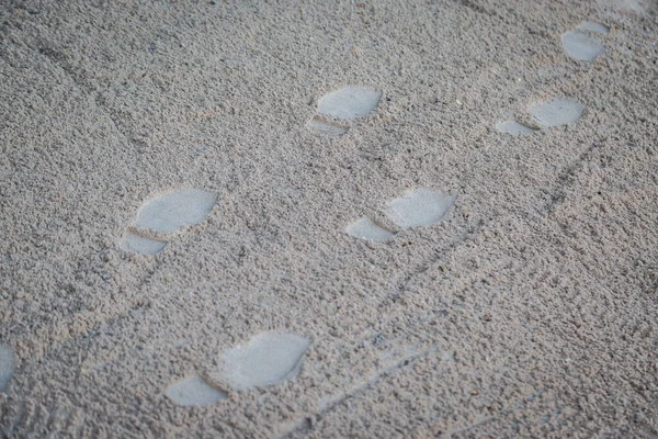 Fußabdruck Auf Sandstrand Hintergrund — Stockfoto