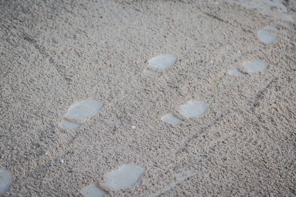 Αποτύπωμα Ποδιού Φόντο Παραλίας Άμμου — Φωτογραφία Αρχείου