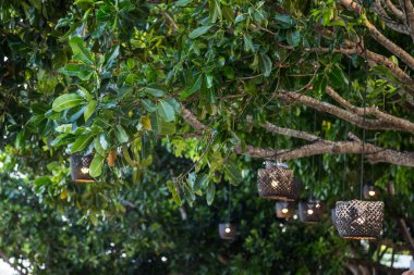 Ağaçtaki tahta lamba, arka planda bokeh.