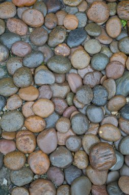 Islak kaya nehir dokusu arkaplanı