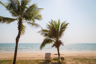 Plaj arka planında hindistan cevizi ağacı olan güneşli sahilde bir plaj sandalyesi.