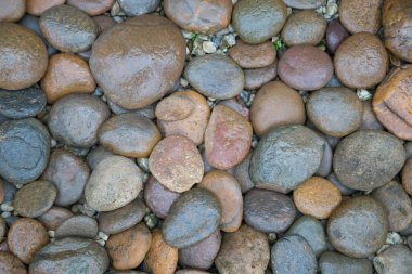 Islak kaya nehir dokusu arkaplanı