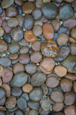 Islak kaya nehir dokusu arkaplanı