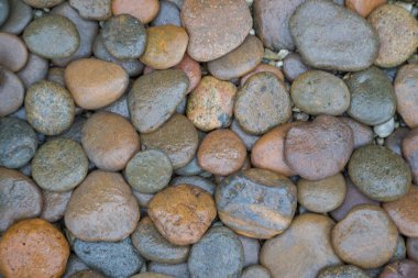 Islak kaya nehir dokusu arkaplanı