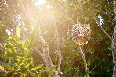 Ağaçtaki tahta lamba, arka planda bokeh.