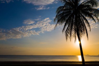 Gün batımından önce sahildeki hindistan cevizi ağacını sustur.