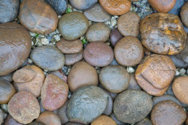 Islak kaya nehir dokusu arkaplanı