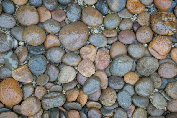 Islak kaya nehir dokusu arkaplanı