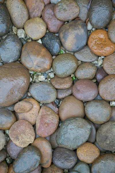 Fondo Textura Río Roca Mojada — Foto de Stock