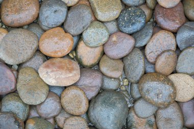 Islak kaya nehir dokusu arkaplanı