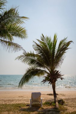 Plaj arka planında hindistan cevizi ağacı olan güneşli sahilde bir plaj sandalyesi.