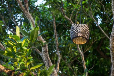 Ağaçtaki tahta lamba, arka planda bokeh.