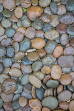 Islak kaya nehir dokusu arkaplanı