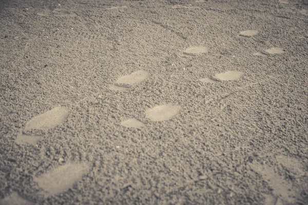 Footprint Sand Beach Background — Stock Photo, Image