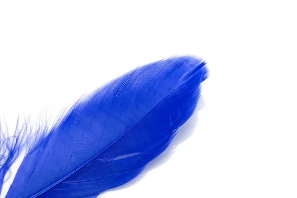 Pena Azul Isolada Branco — Fotografia de Stock