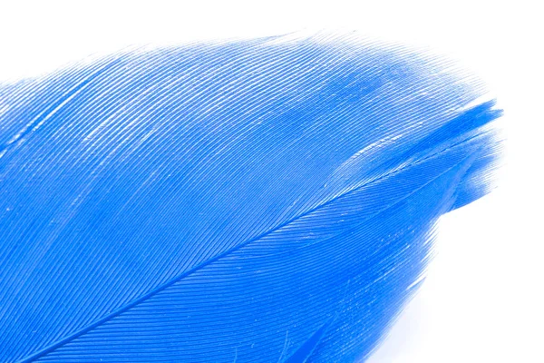Mavi Tüy Üzerinde Beyaz Izole — Stok fotoğraf