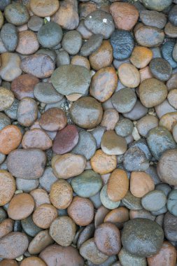 Islak kaya nehir dokusu arkaplanı