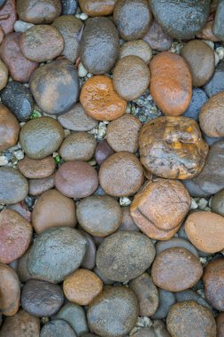 Islak kaya nehir dokusu arkaplanı