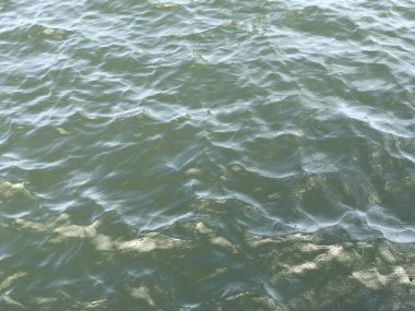 Su yüzeyi arka planında yansıma