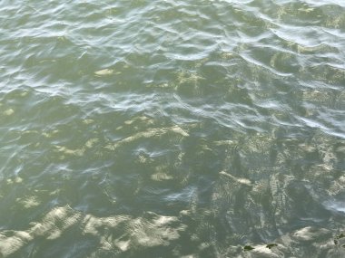 Su yüzeyi arka planında yansıma