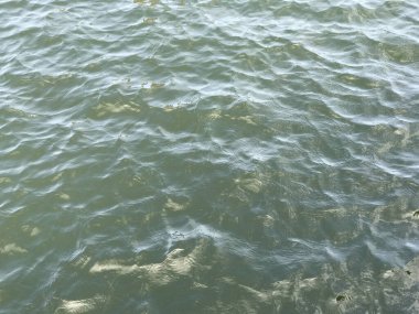 Su yüzeyi arka planında yansıma