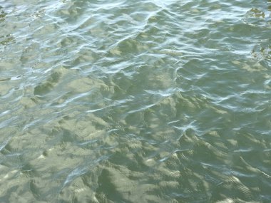 Su yüzeyi arka planında yansıma