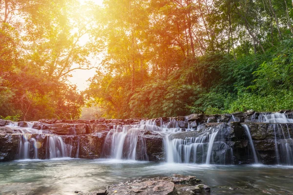 Green forest waterfall nature background