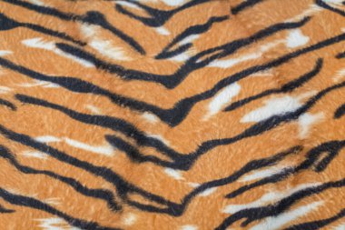 yapay kaplan derisi baackground