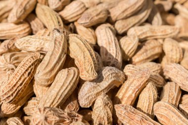 Kabuklu fıstıkların arka planlarını kapat