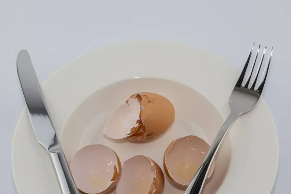 Vaječný Krunýř Bílém Talíři Dieta Koncept Pozadí — Stock fotografie
