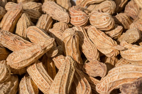 Primer Plano Cacahuetes Crudos Fondo Conchas — Foto de Stock