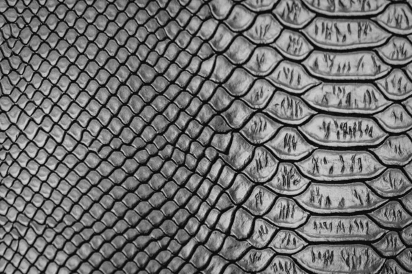 Текстура Кожи Черной Змеи — стоковое фото