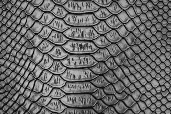 Negro Serpiente Piel Patrón Textura Fondo —  Fotos de Stock