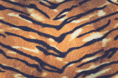 yapay kaplan derisi baackground