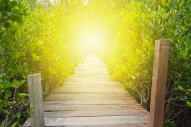 Tayland 'daki tropik ormanlarda dinlenmek için doğaya giden tahta köprü.