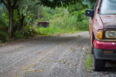 Eski kamyonun lastiği patlamış ve ormana giden yol...