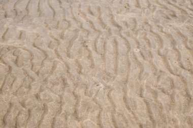 Sahilde sarı dalga kum dokusu