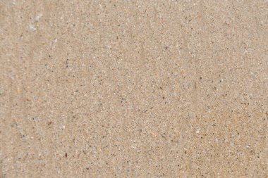 Sahilde güzel bir kum.