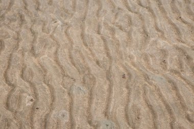 Sahilde sarı dalga kum dokusu