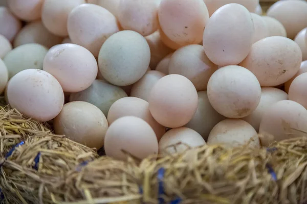 Fresh Eggs Basket Background — Stock Photo, Image