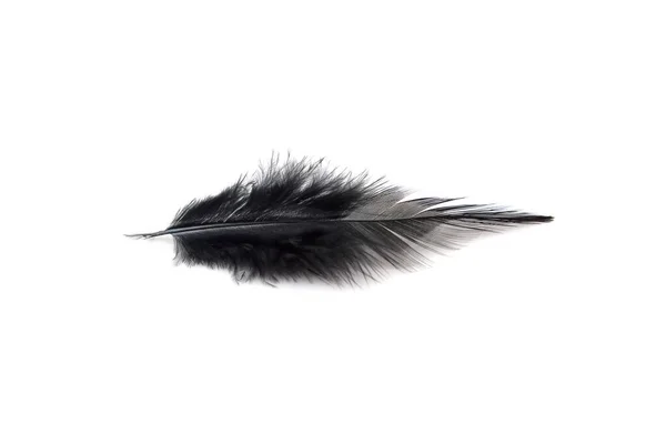 Close Black Feathers Isolated White Background — Stock Photo, Image