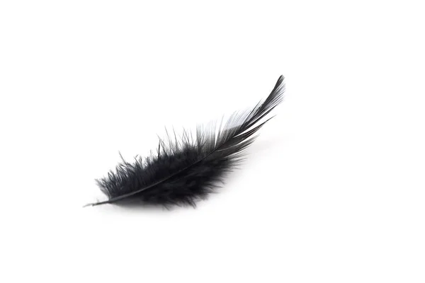 Close Black Feathers Isolated White Background — Stock Photo, Image