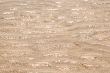 Sahilde sarı dalga kum dokusu