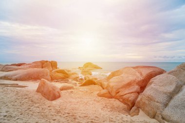 Kumsalda kum ve mavi gökyüzü zeminli deniz ve kaya taşları