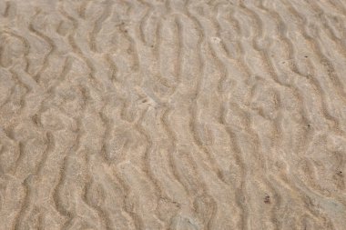 Sahilde sarı dalga kum dokusu